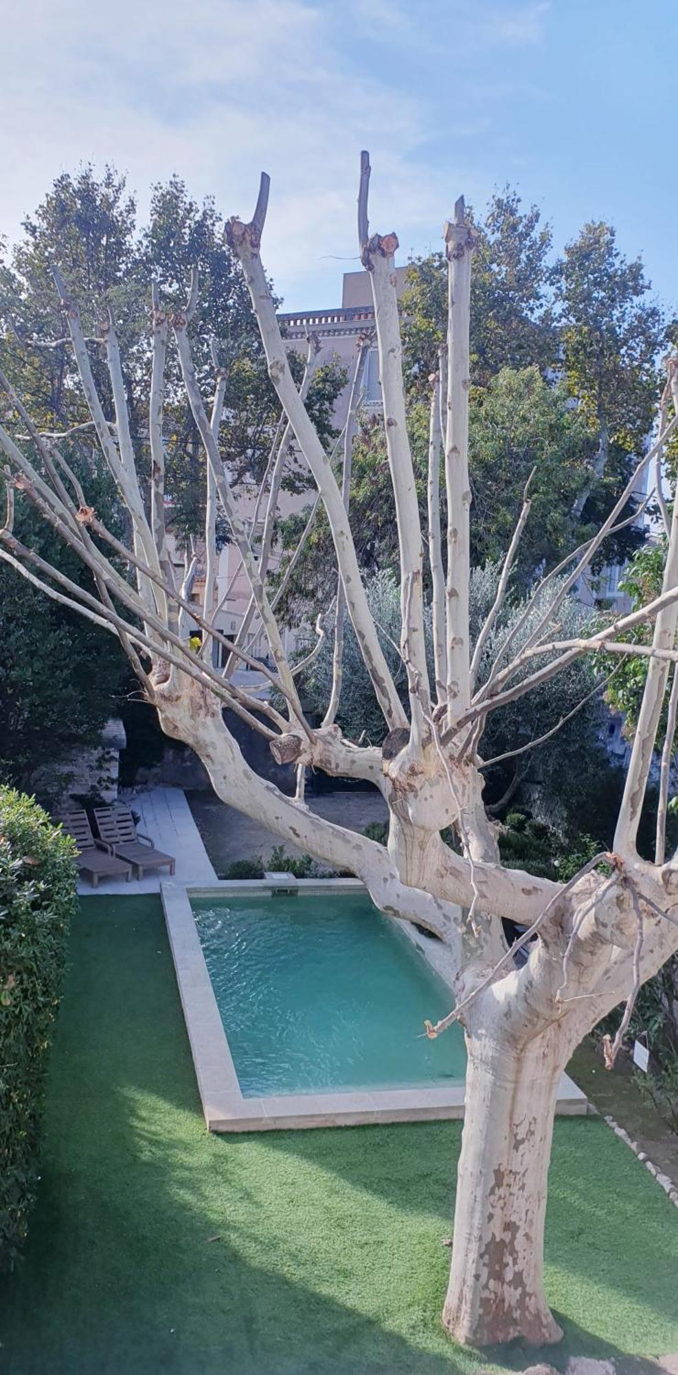 Maison D'Hotes La Bastide De Patou, Suite De 2 A 6 Personnes Марсель Екстер'єр фото